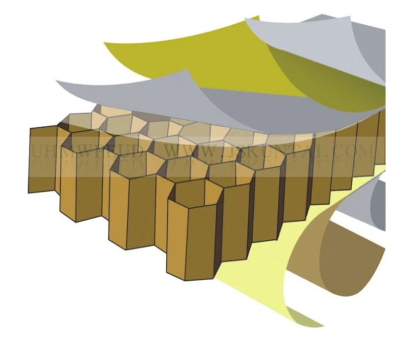 double belt application1 double belt application1